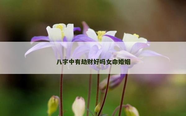 八字中有劫财好吗女命婚姻