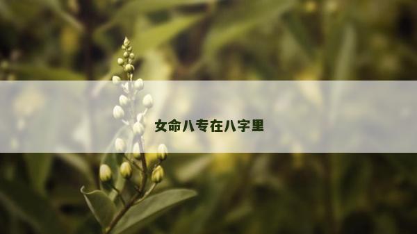 女命八专在八字里