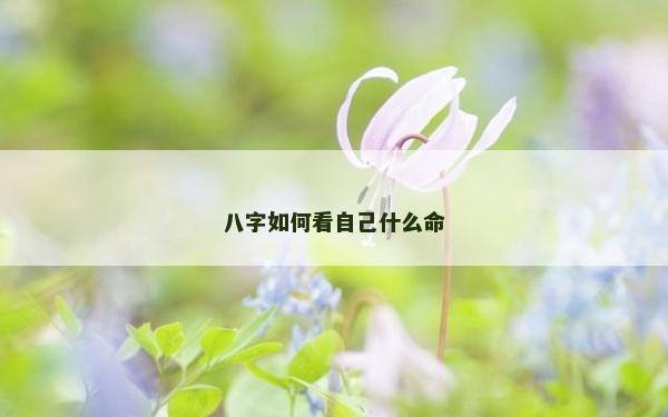 八字如何看自己什么命