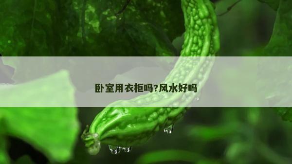 卧室用衣柜吗?风水好吗
