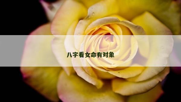 八字看女命有对象