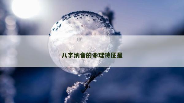 八字纳音的命理特征是