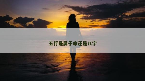 五行是属于命还是八字