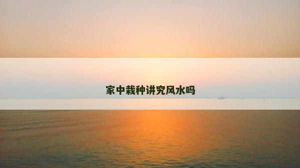 家中栽种讲究风水吗