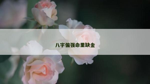 八字偏强命里缺金