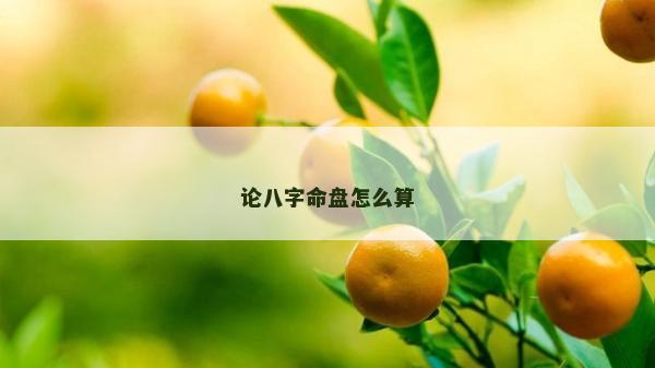 论八字命盘怎么算