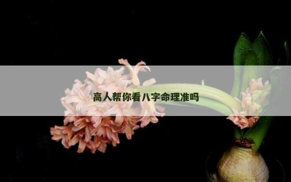 高人帮你看八字命理准吗
