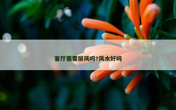 客厅需要屏风吗?风水好吗