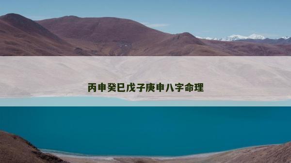 丙申癸巳戊子庚申八字命理