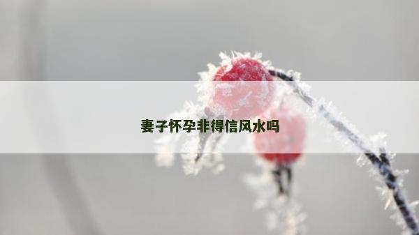 妻子怀孕非得信风水吗