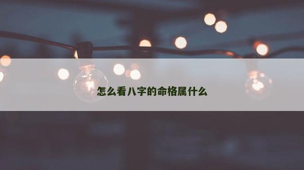 怎么看八字的命格属什么