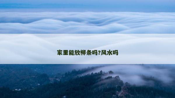 家里能放柳条吗?风水吗