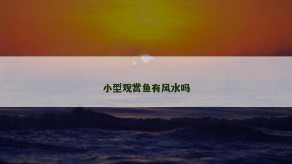 小型观赏鱼有风水吗