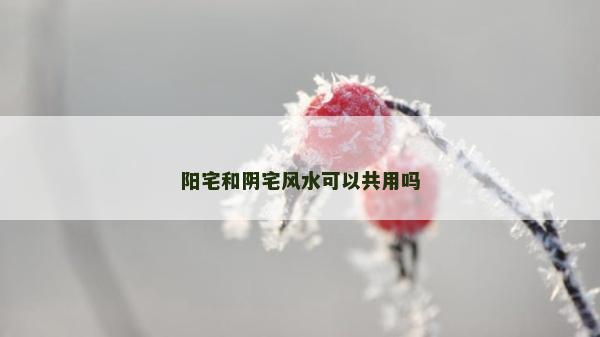 阳宅和阴宅风水可以共用吗
