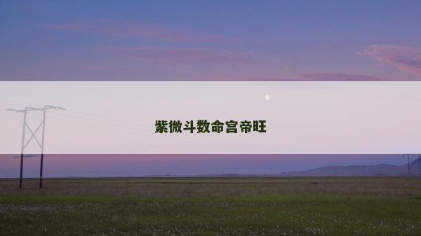 紫微斗数命宫帝旺