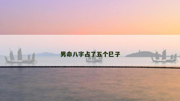 男命八字占了五个巳子