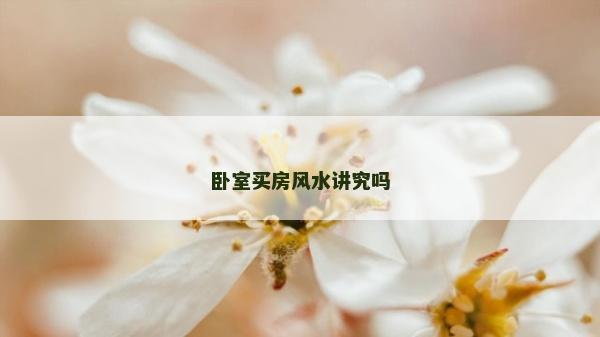 卧室买房风水讲究吗