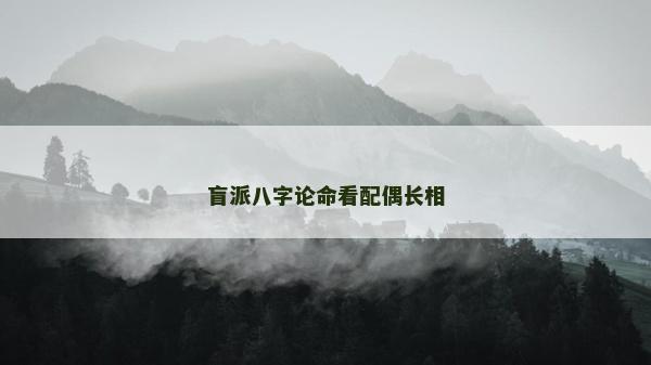 盲派八字论命看配偶长相