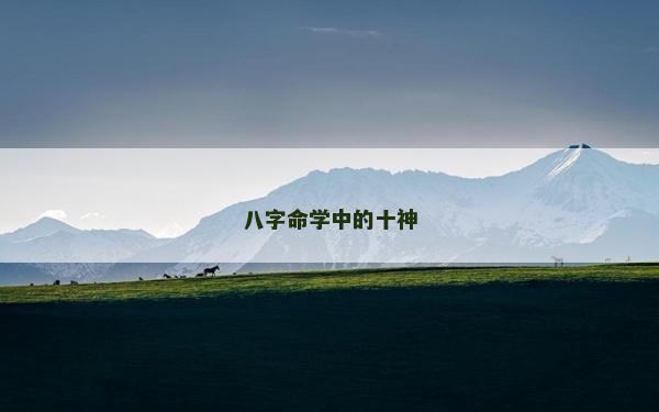 八字命学中的十神
