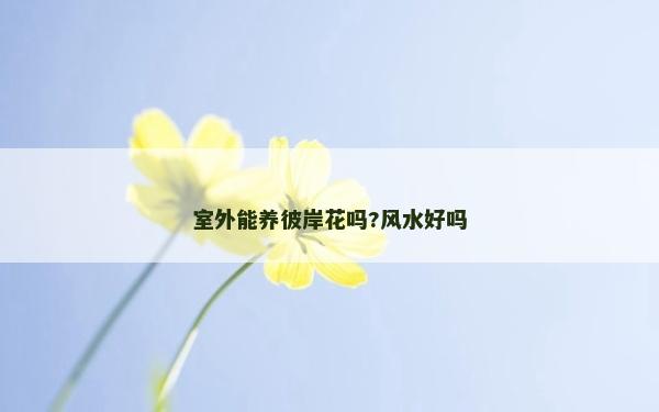 室外能养彼岸花吗?风水好吗
