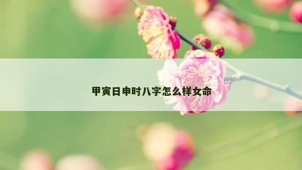 甲寅日申时八字怎么样女命