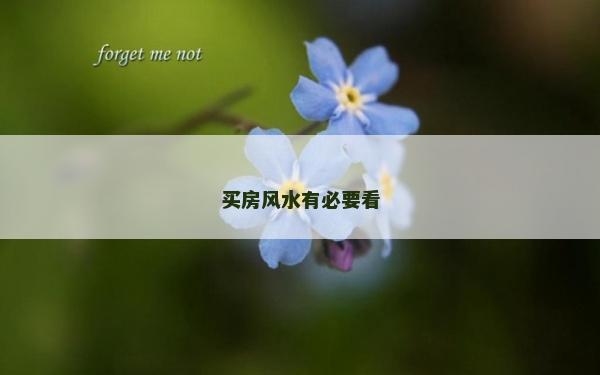 买房风水有必要看