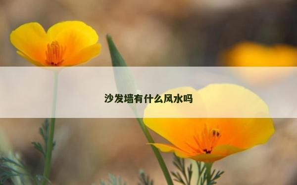 沙发墙有什么风水吗