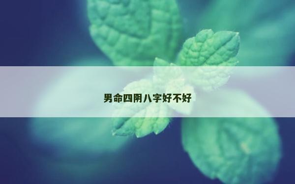 男命四阴八字好不好