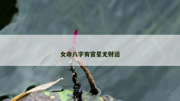 女命八字有官星无财运
