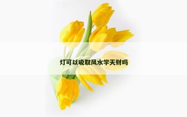 灯可以吸取风水学天财吗