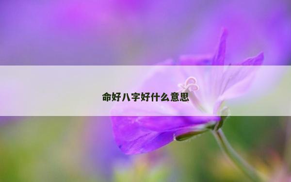 命好八字好什么意思