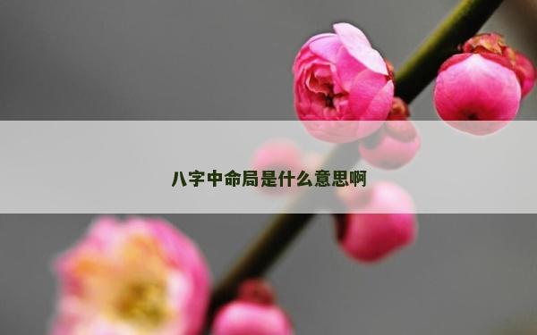 八字中命局是什么意思啊