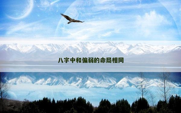 八字中和偏弱的命局相同