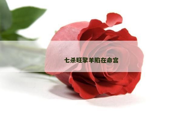 七杀旺擎羊陷在命宫