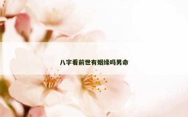 八字看前世有姻缘吗男命