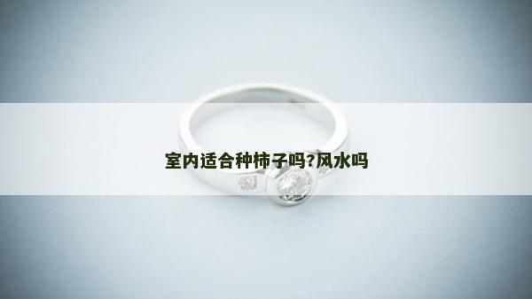 室内适合种柿子吗?风水吗