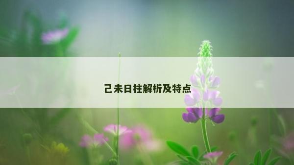 己未日柱解析及特点