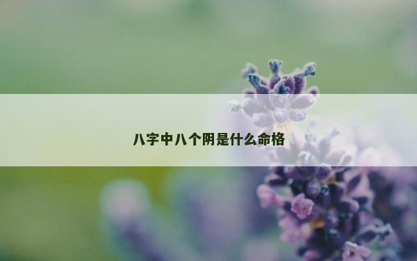八字中八个阴是什么命格