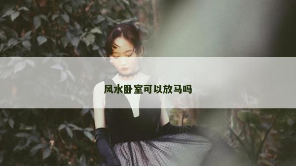 风水卧室可以放马吗