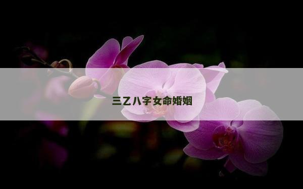 三乙八字女命婚姻