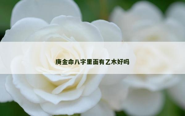 庚金命八字里面有乙木好吗