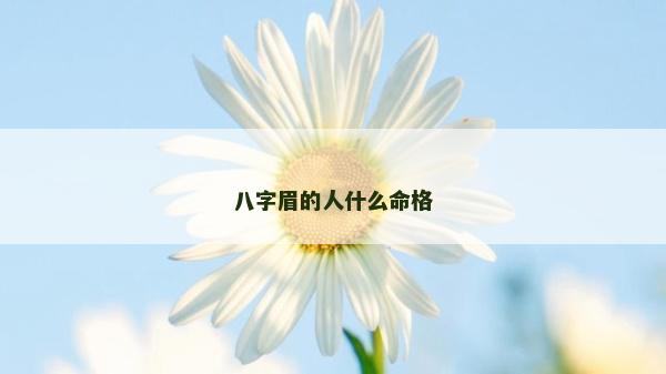 八字眉的人什么命格
