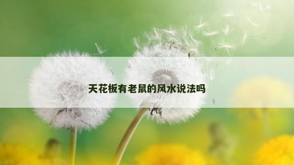 天花板有老鼠的风水说法吗