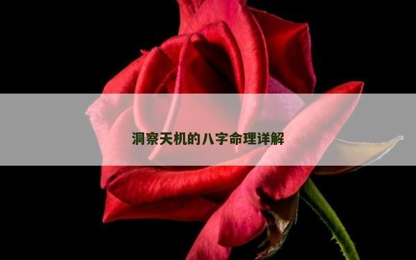 洞察天机的八字命理详解