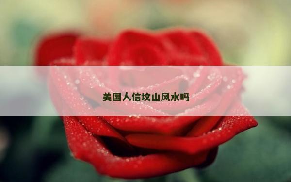 美国人信坟山风水吗