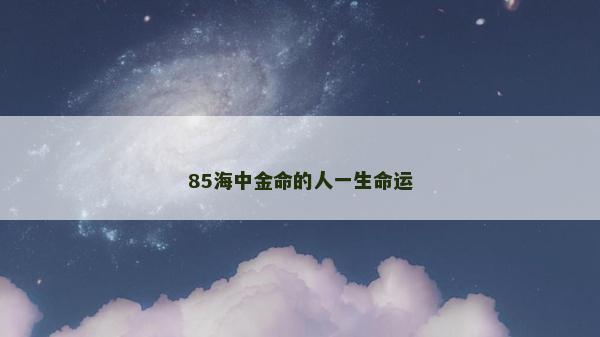 85海中金命的人一生命运