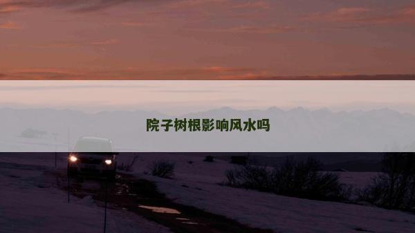 院子树根影响风水吗