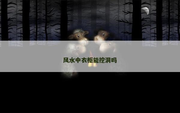 风水中衣柜能挖洞吗