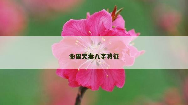 命里无妻八字特征