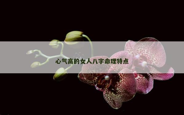 心气高的女人八字命理特点